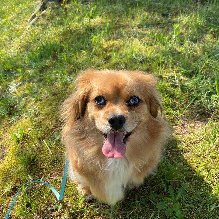 3e27ecd1 38b8 41d0 bd4b 4a624a75776a 1588375970282