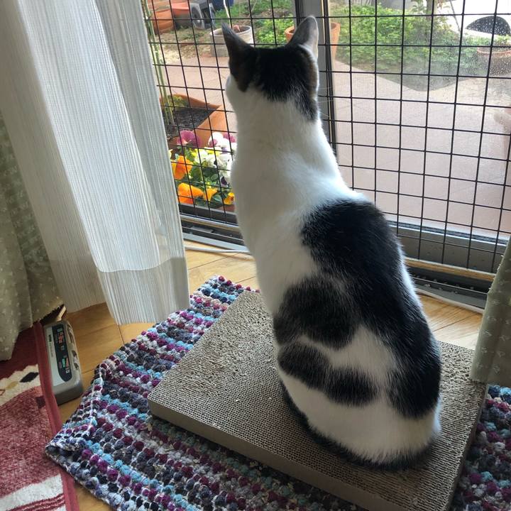 3e27f81a 2004 4e07 9f41 b996174eedba 1708905945642