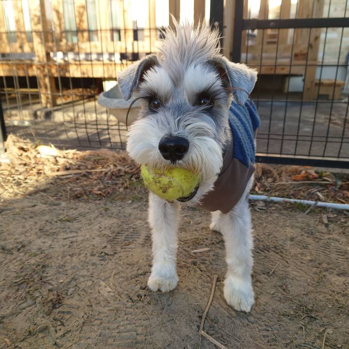 3e2820ea 68e1 487b 8579 258526b018ef 1767914558085