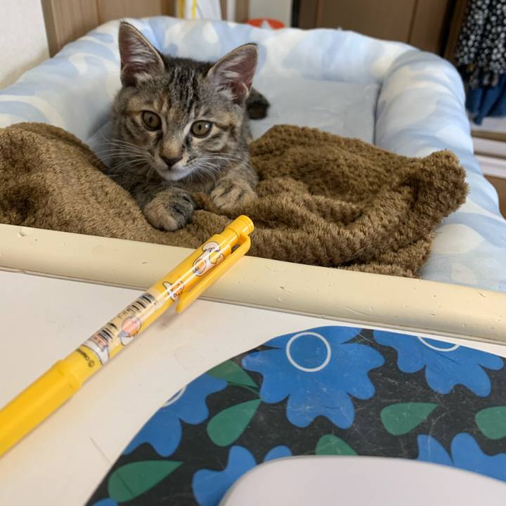 3e28291f dd6a 4108 bc05 0dc70f98d80f 1592886650736