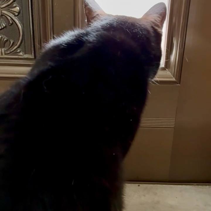 3e290cf3 68fe 495b ba94 0f40c51b297d 1747531891842