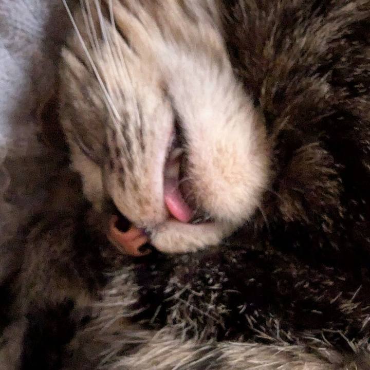 3e292433 3b93 447a a46b 297b4d6fbe68 1757059485922