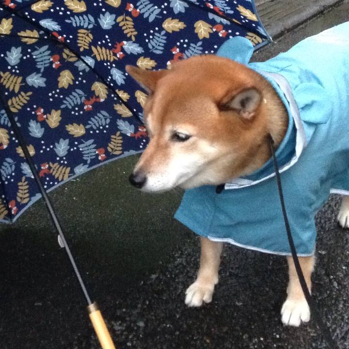 3e29664a 83d9 4d46 9b6e ea665ac253bd 1537876960688