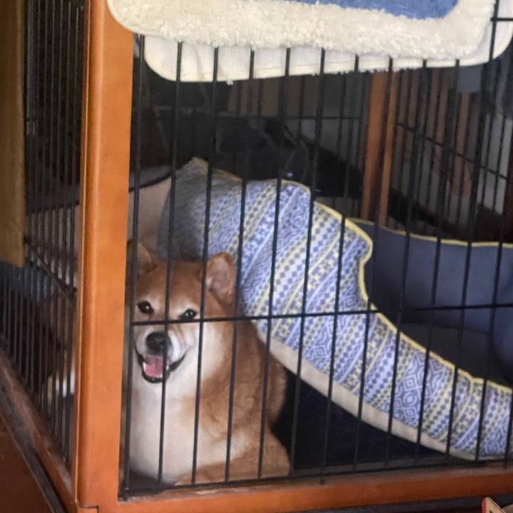 3e2968b3 a794 4363 a5b0 4c717bcec981 1598138050689