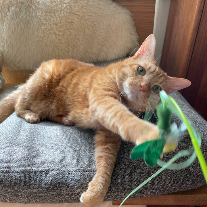 3e296949 5ff2 4181 90e8 0f04edc68300 1697420043994