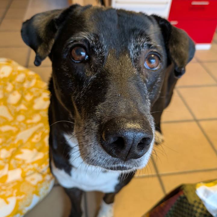 3e297b6e 9a64 46b4 9b9e 94542c8fda4a 1737417784536