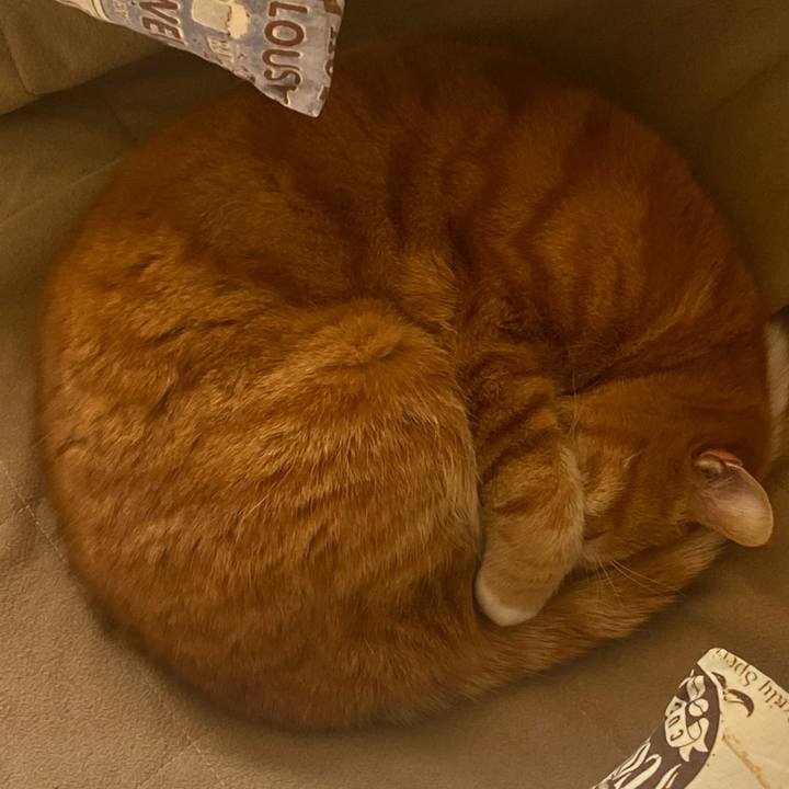 3e298cb7 b788 4b2e 8840 59cb86ddb482 1646360889229