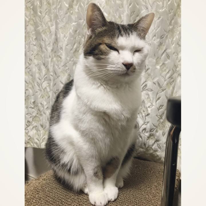 3e298ec9 0e9c 4423 bf15 276f26ad0d7e 1553923906909