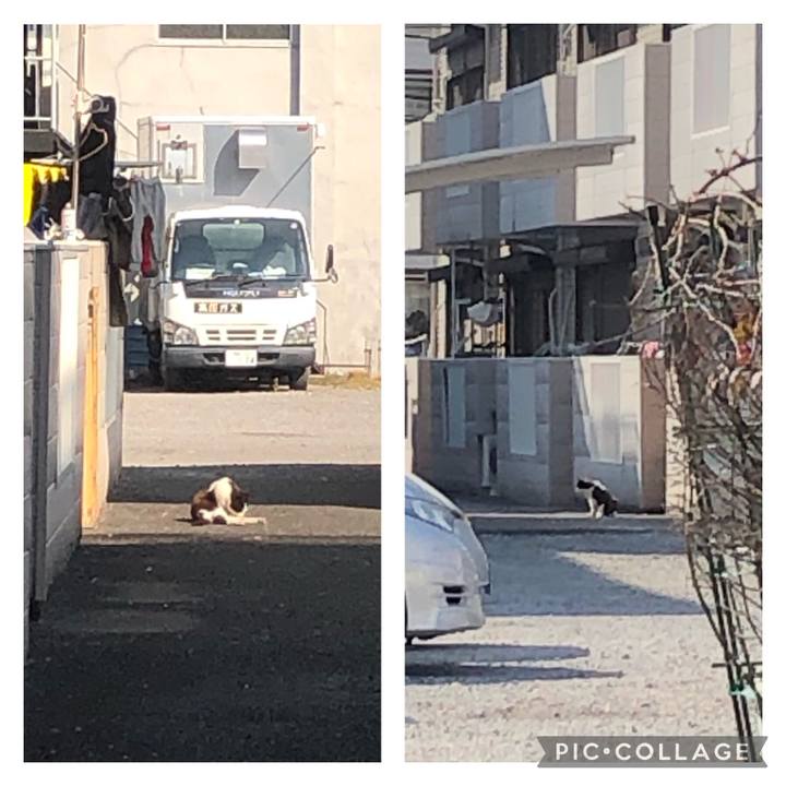 3e29ad65 2e14 4a62 b102 794e8b0755c2 1646722245400