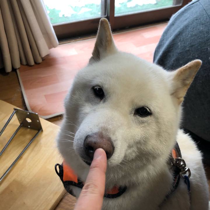 3e29b084 f9f9 4751 bbf6 d4c5906d308c 1649370201005