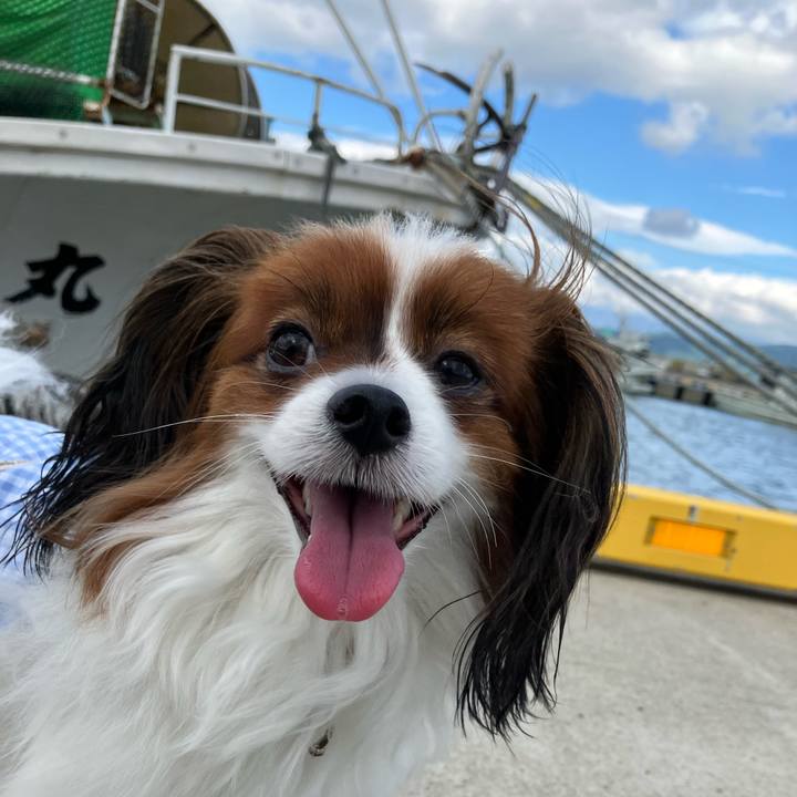 3e29d585 5c28 415c b023 01584f186e68 1721562798849