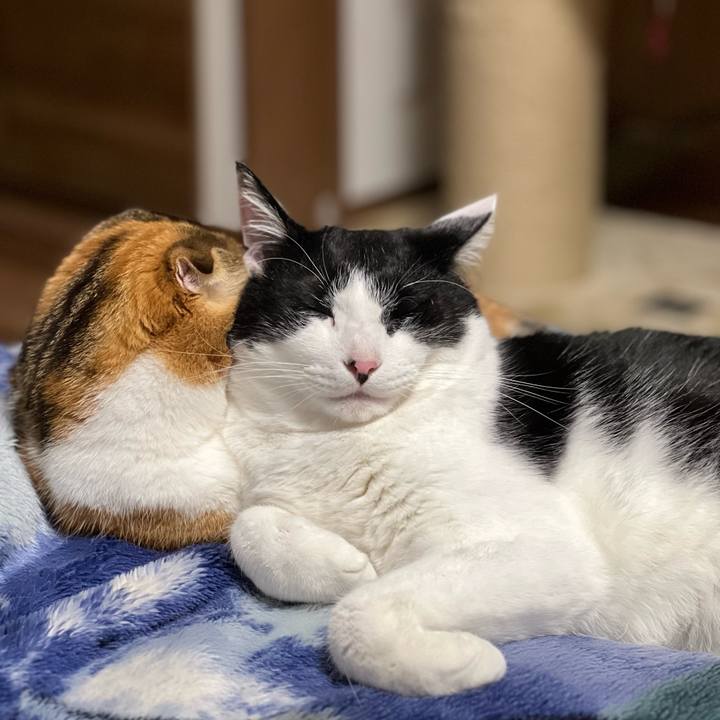 3e2a020f 05f0 40c5 9cf1 7bb2849d6baf 1683378135606