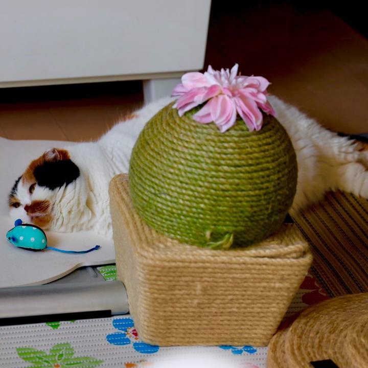 3e2a0627 d089 454b 99ee ae2cedde6a8b 1690948398979