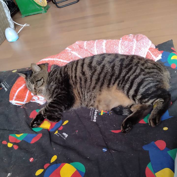 3e2a310d 3220 4290 9edf 0ebc6d00100e 1663658874417