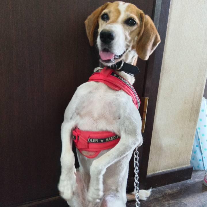 3e2a47a9 4e77 427d a0df fdea342f821f 1723290923163