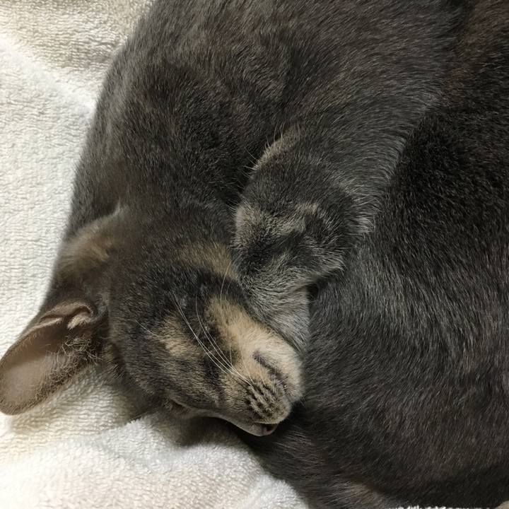 3e2a4c37 049b 4344 8215 e49d4a8d73b8 1556628082566