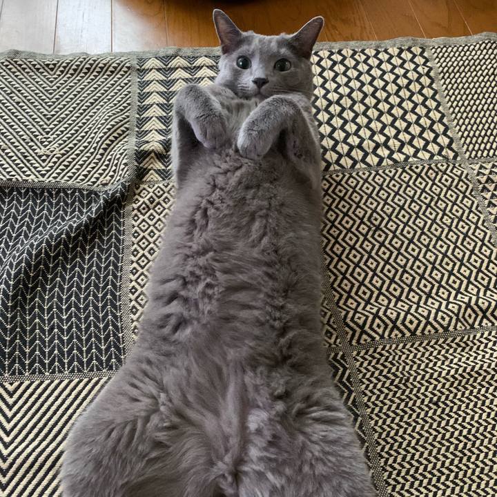 3e2a8346 b42e 4220 a2b1 e3f39d8805fb 1600378812089