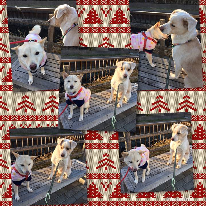 3e2ae0a7 5873 491f a6e5 489b9f4d0047 1514506099338