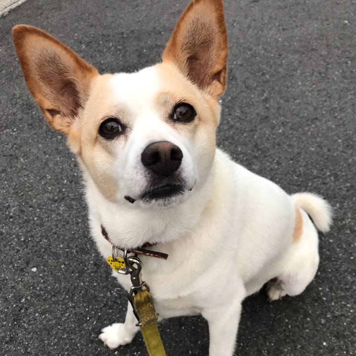 3e2aecc9 33ed 4dac 8844 46eb995f5cf3 1658575992319