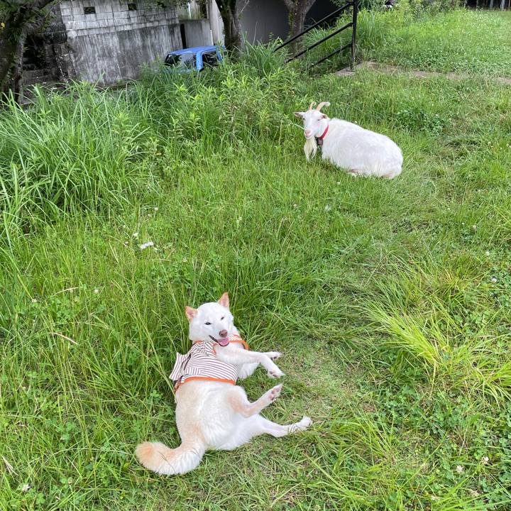 3e2b5f9b 5a49 4360 8c22 5199373661af 1655546611838