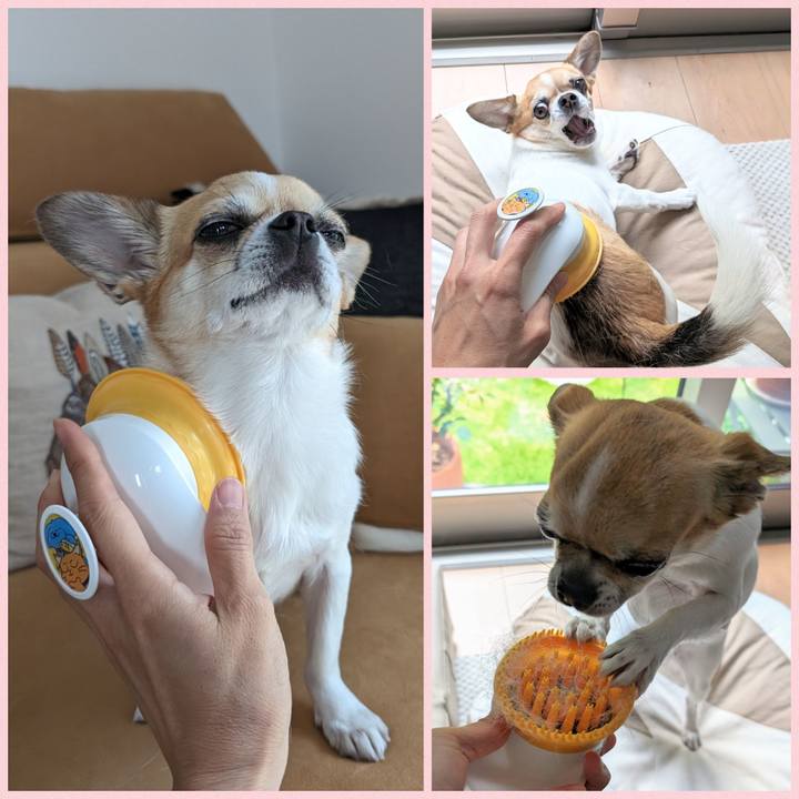 3e2b77f8 654f 4fe8 9d16 88d50f0d7bf6 1719304100587