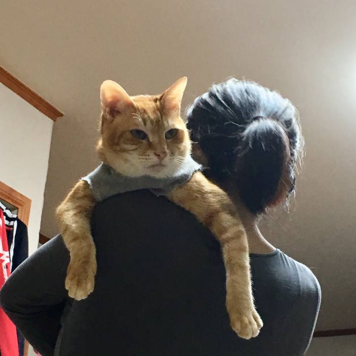 3e2b7962 5c2a 4ad4 961a 60c5b3a6e433 1522065286018