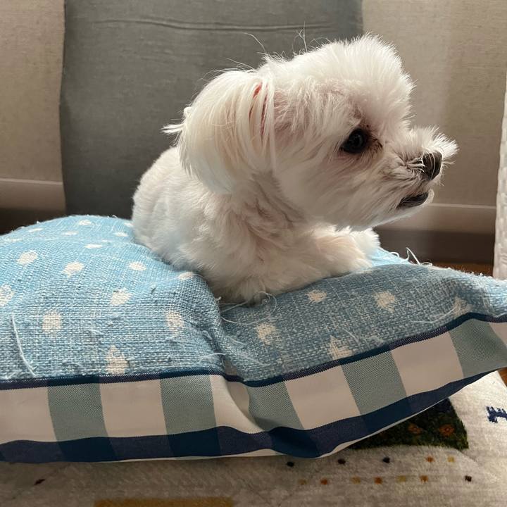 3e2b7e23 b792 4d27 86e6 c04ef0e69fef 1720927841403