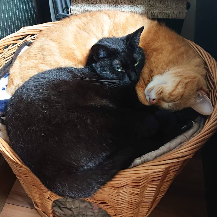 3e2b8ac6 664b 4fa2 9d30 7e66e9a71193 1632652478902