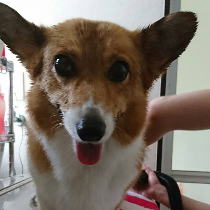 3e2b9119 dea1 4ca4 ade9 727553a2f76b 1531037380837