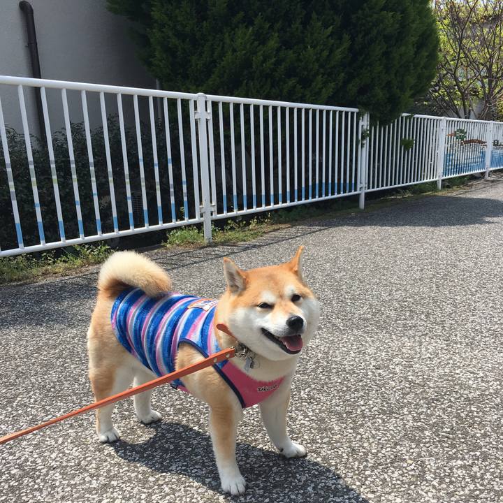 3e2b9a68 665e 4248 b66a 89e6a4b7e370 1555645970248