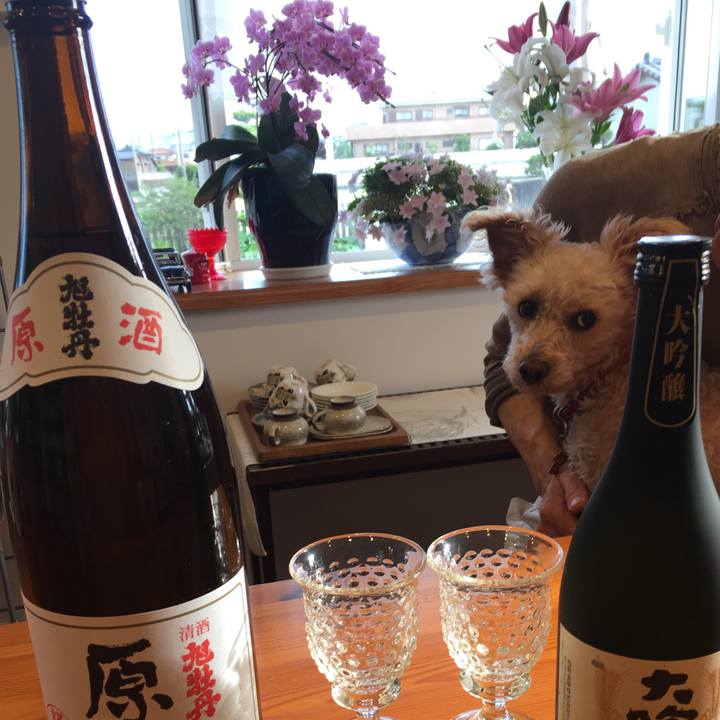 3e2bc837 c26f 410a 8f85 d31c53201ca1 1528015195405