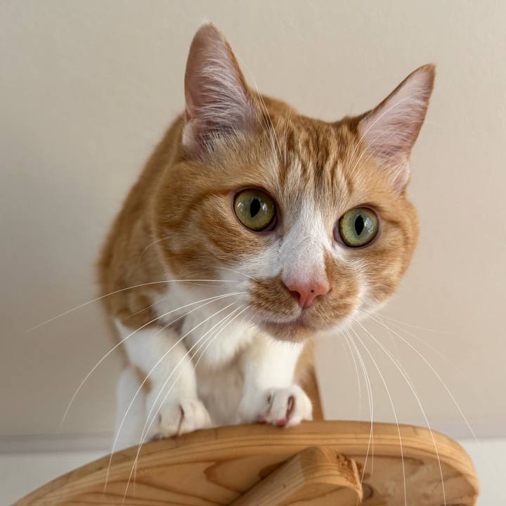 3e2bcaf8 f427 4751 b076 d25b7ad4a8ef 1774258414713