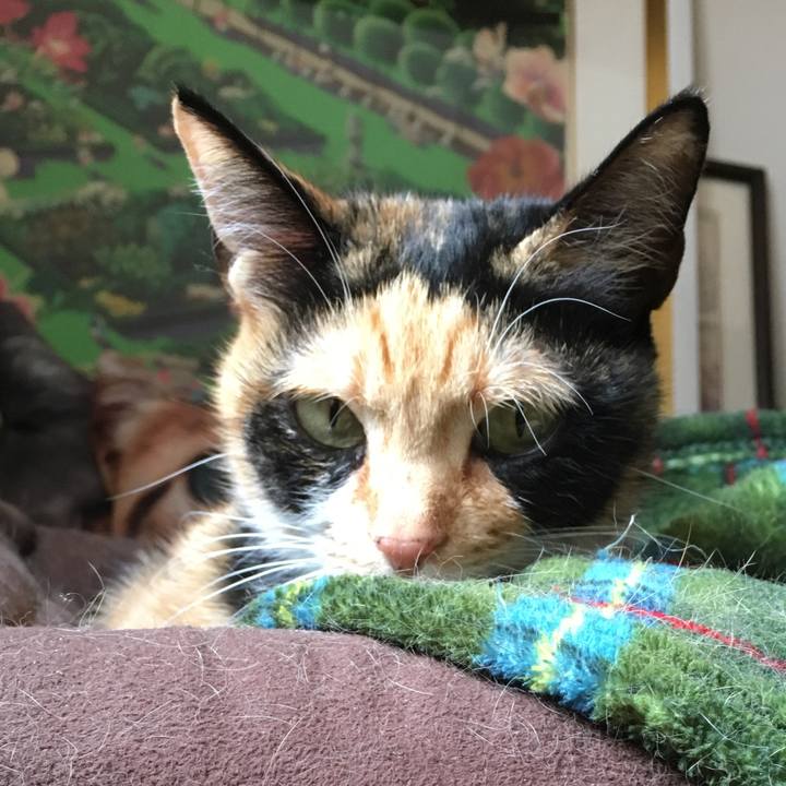 3e2be0a2 cbbd 4eb5 9676 10d4898fed19 1519435899548