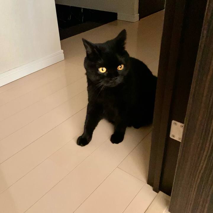 3e2be150 539b 43d4 a955 5b22813da26e 1660049109549