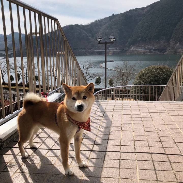 3e2c03bd c574 4f6a a6d7 e8817c74883f 1518773909364