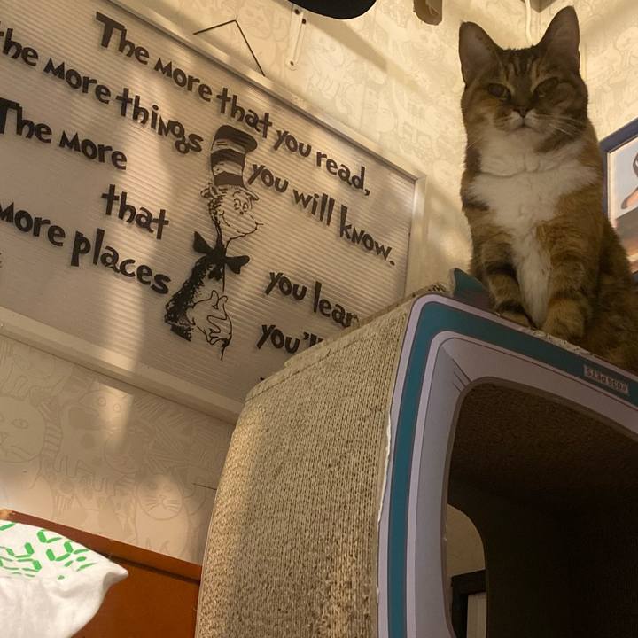 3e2c07e5 9fb5 4fb4 9165 8afa5e258339 1669754089335