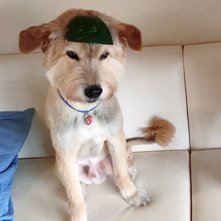 3e2c47e5 e555 4e9e 8d2b 1b3ed00a97cc 1595041372529