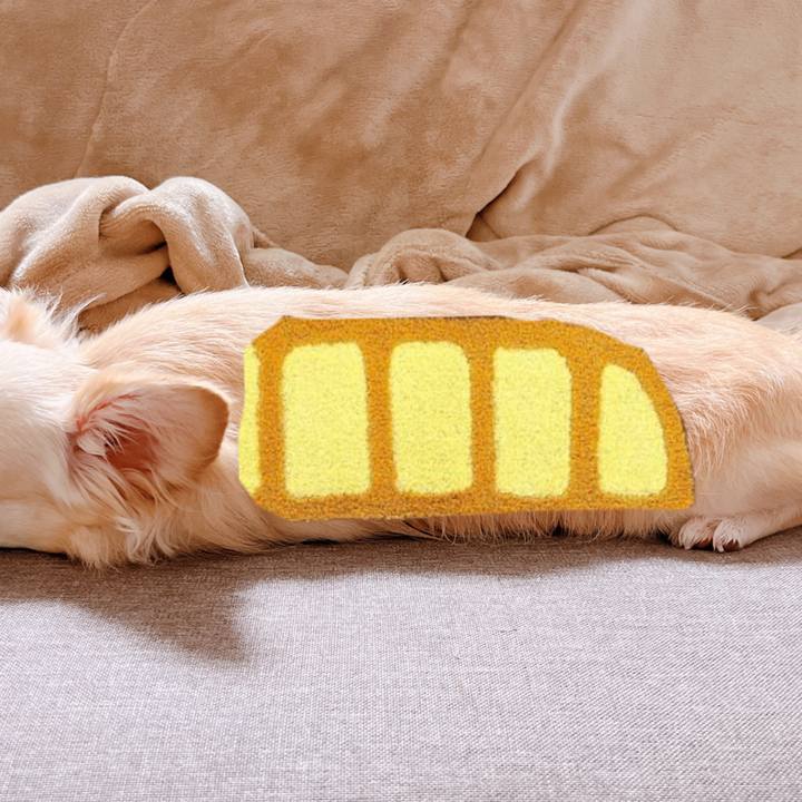 3e2c6352 1845 429e 9178 98f73e94f415 1662001005002