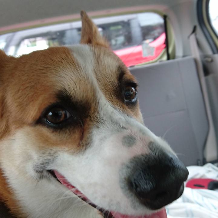 3e2c7a84 91ac 454f 8c42 08deffd8f4c8 1571883862283