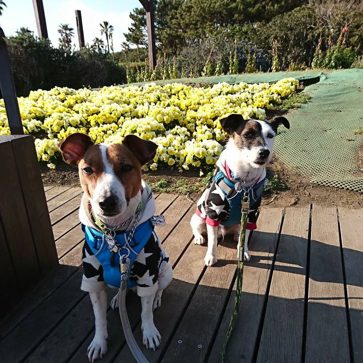 3e2c857a 118b 486e b1ff 56aead61a359 1553412433128