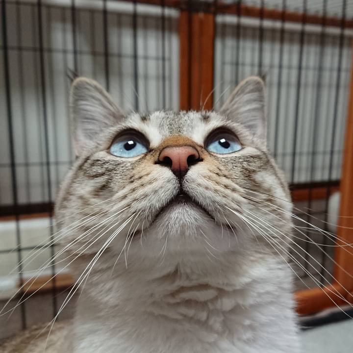 3e2c8a54 fe71 4e0b b7f5 132bb65264b3 1519298362942