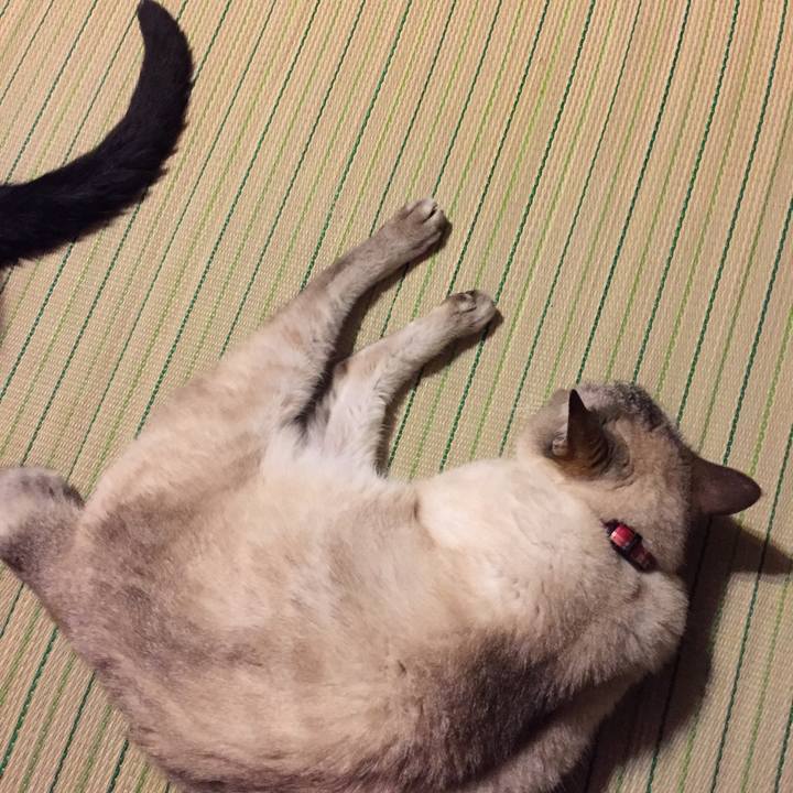 3e2cac33 b234 4a2d b7df 8028a9e83366 1529235512242