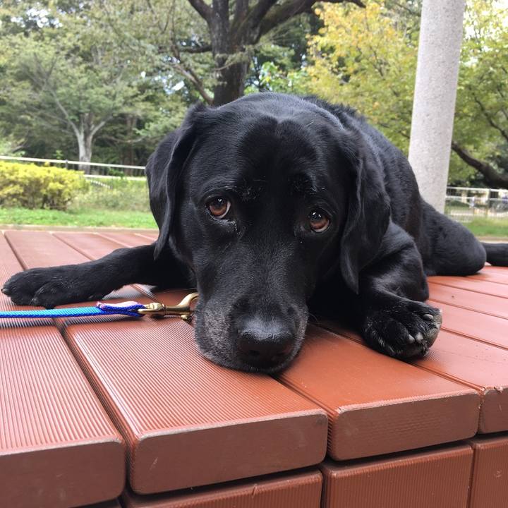 3e2cafc1 1782 4031 a234 5b34d5478894 1758984610393