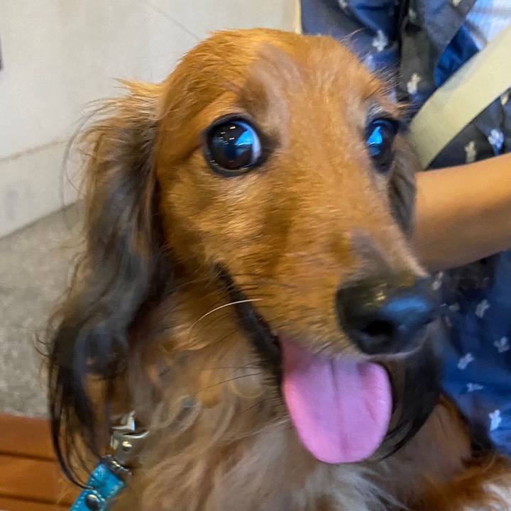 3e2cb872 d281 402e b959 d00ef3259dbd 1696243974089