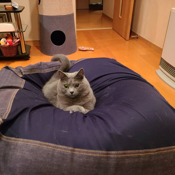 3e2cbc2f d4b1 4bca bed7 b6933fa815f3 1602996740045