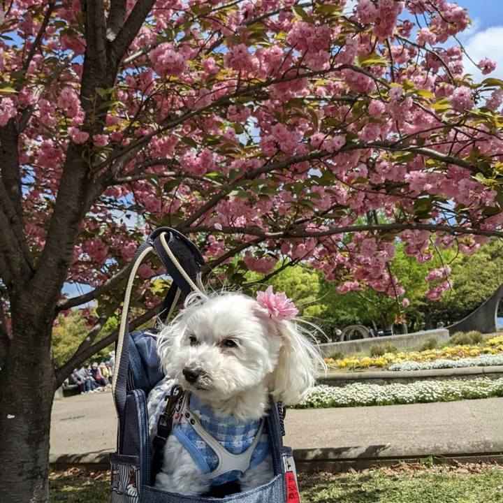 3e2cc534 2e57 410f be12 ecd1a8d1cb63 1651144487570