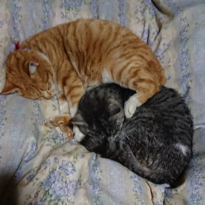 3e2cc53d a7dc 4bc6 8e1e 2d44f367be13 1579697173800