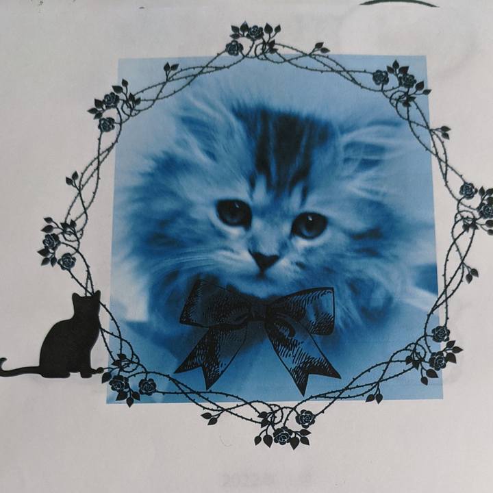 3e2cc6fa 1369 4f2a 974e 3d9dc45454ed 1639888637744