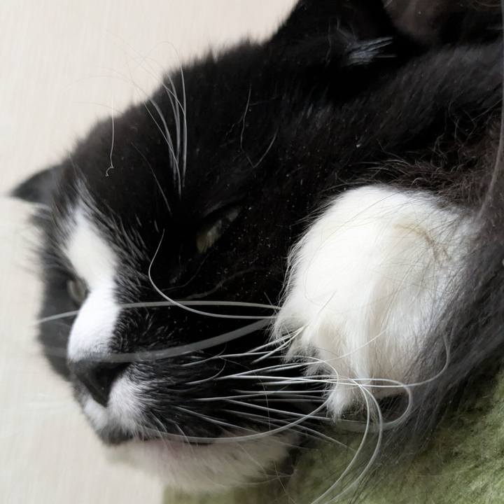 3e2cdf86 c593 41a1 9e5f 199c2b087c3c 1739520699406