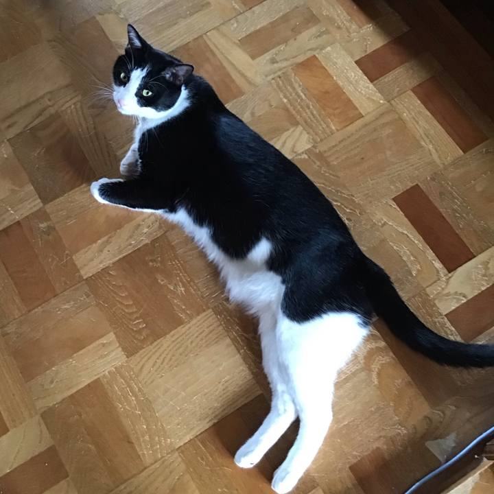 3e2ce913 15a6 4b54 8798 645ef39fba91 1720250674406